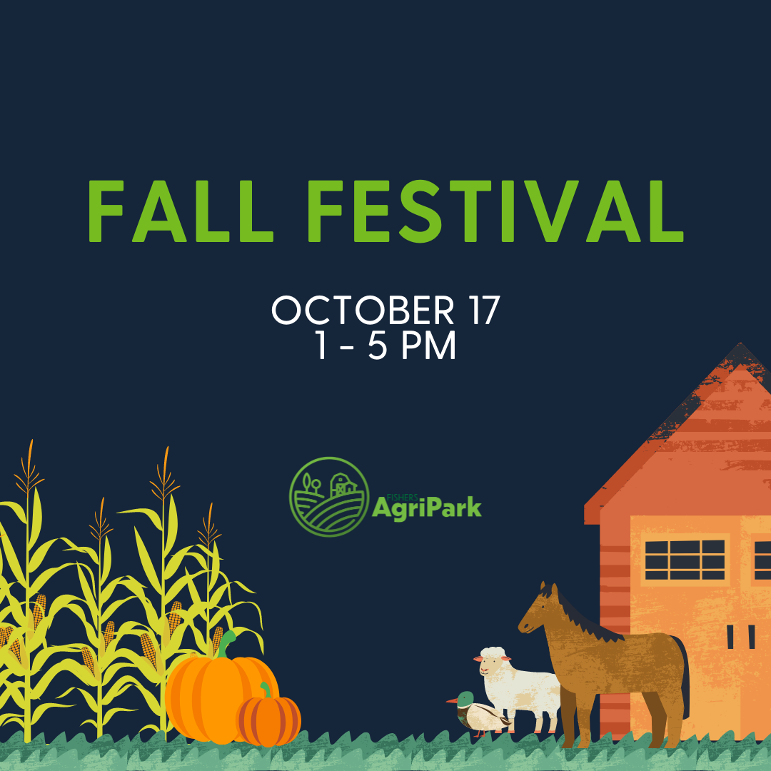fall festival october 17 1-5pm