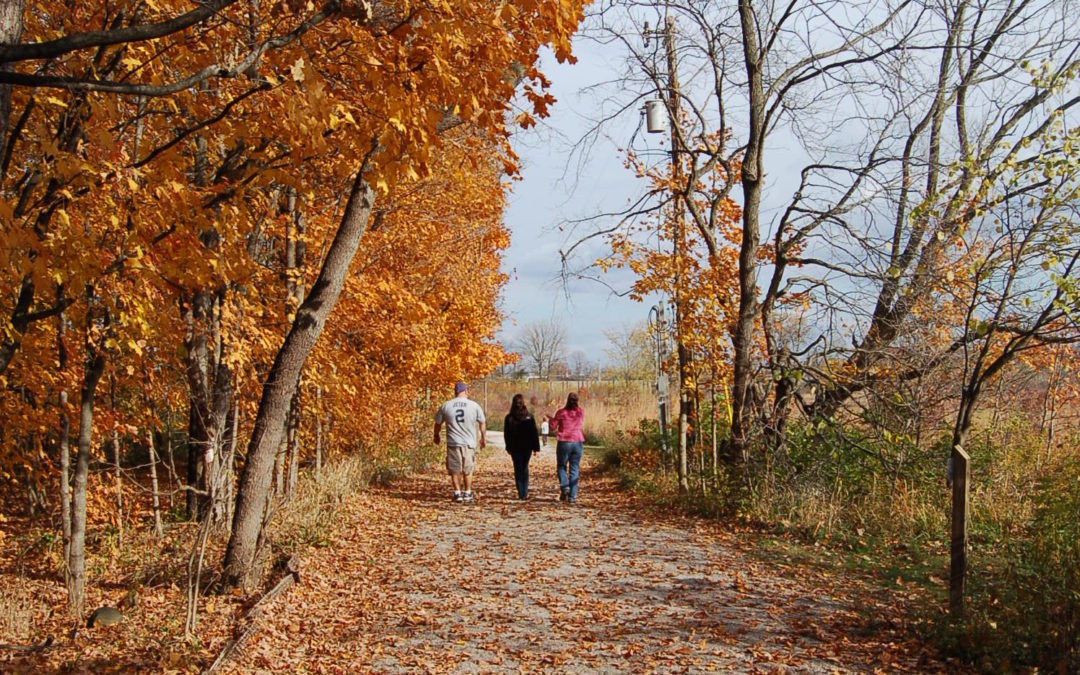 Top 5 Things to Do at Ritchey Woods Nature Preserve