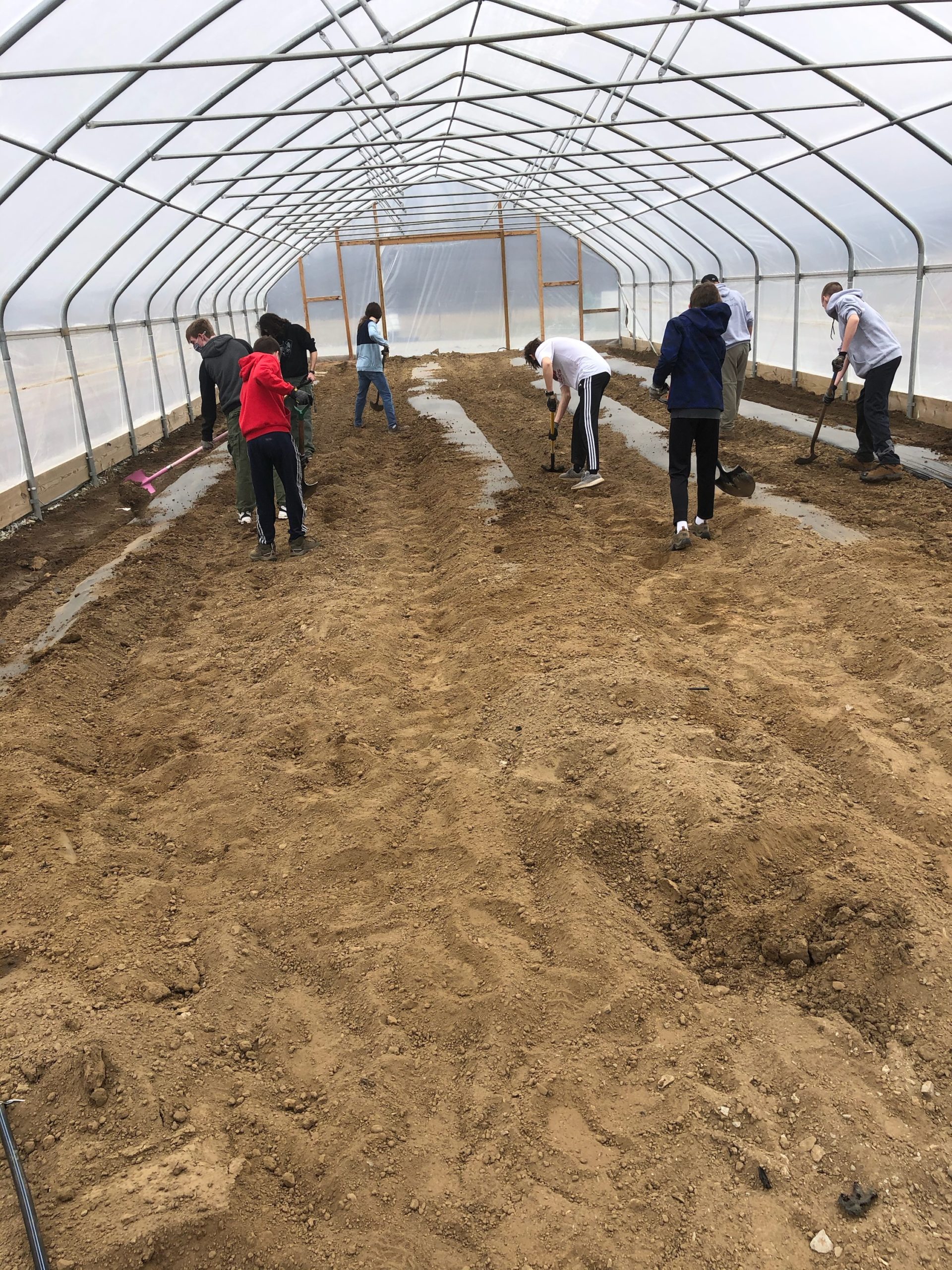 planting in the high tunnel