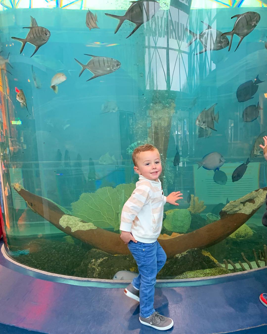 boy at aquarium
