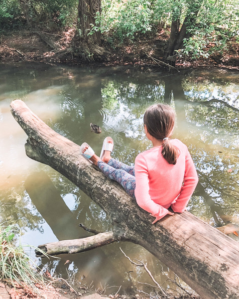 a girl sitting on a tree branch over a creek