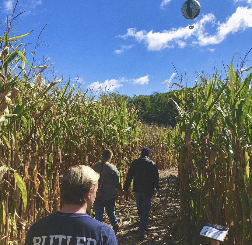 the backs of three people walking through a corn field
