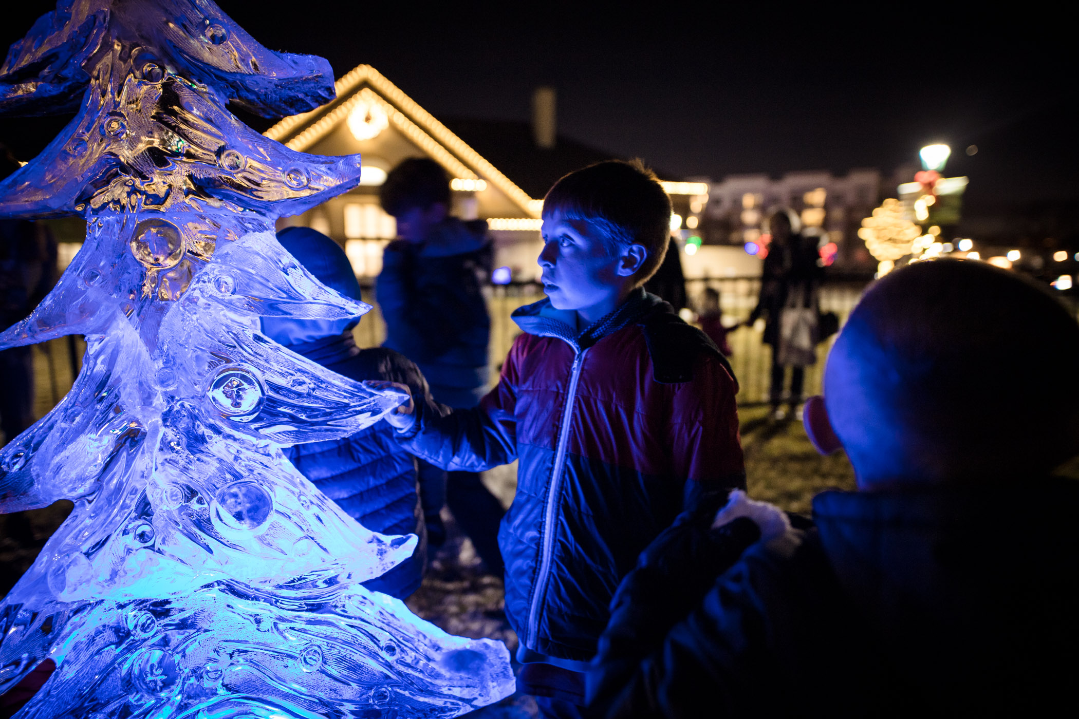 a person looking at an ice sculpture of a tree