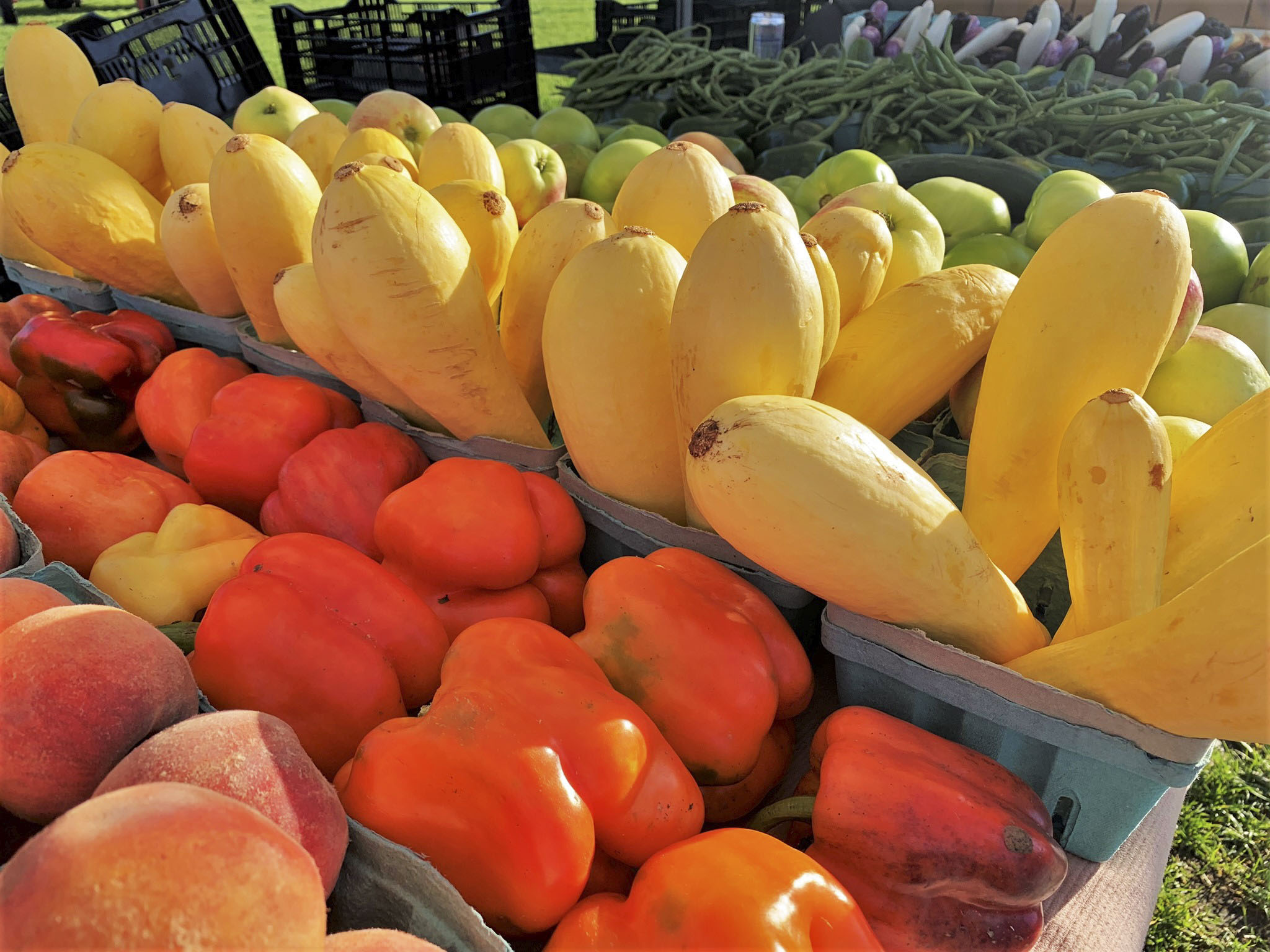 Fruits and vegetables lined up at market