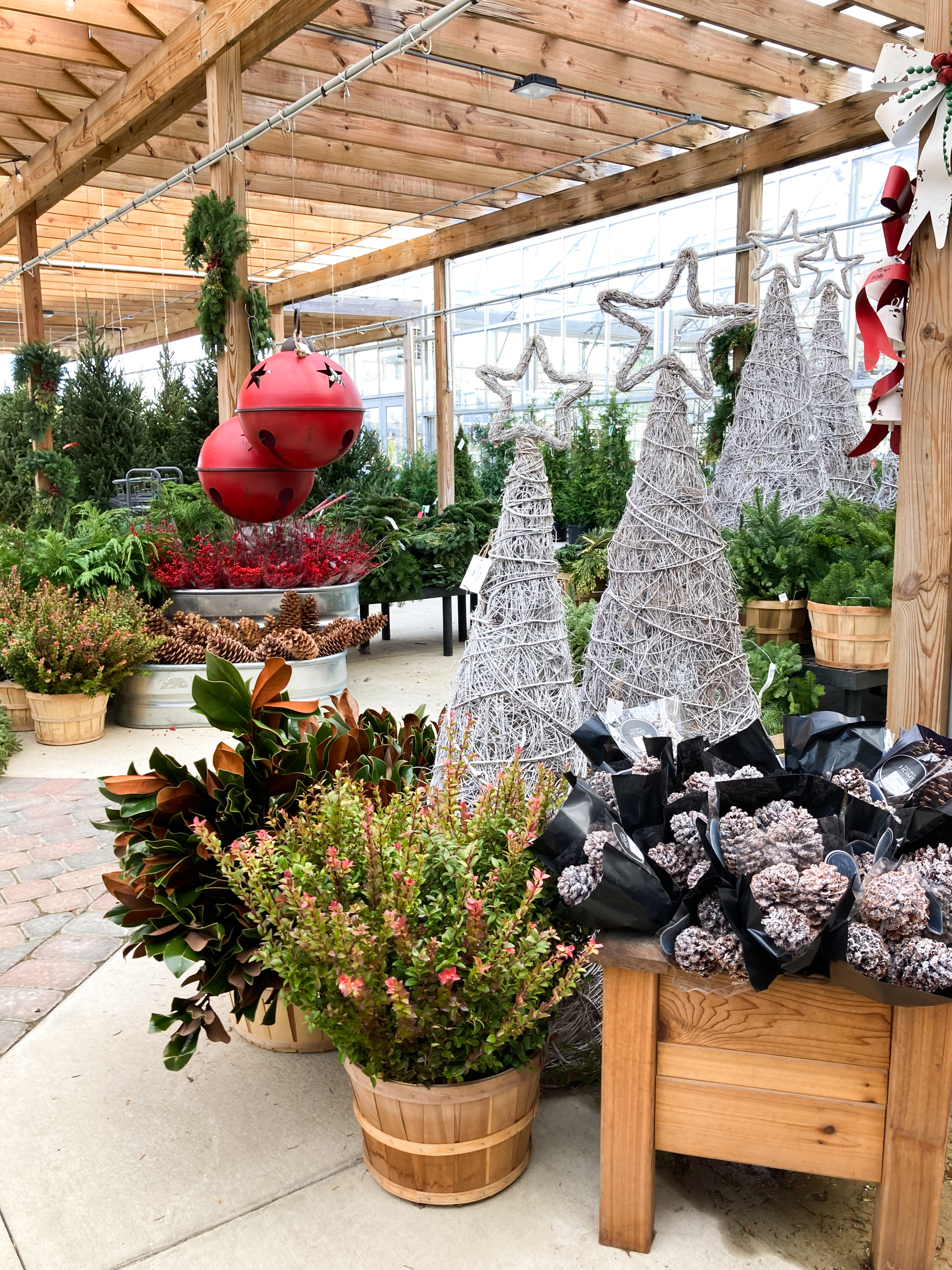 christmas ornaments and plants