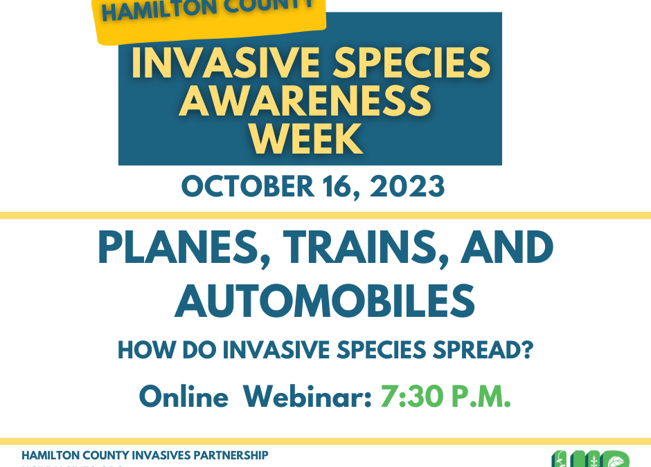 Trains, Planes, and Automobiles: How invasive species spread webinar