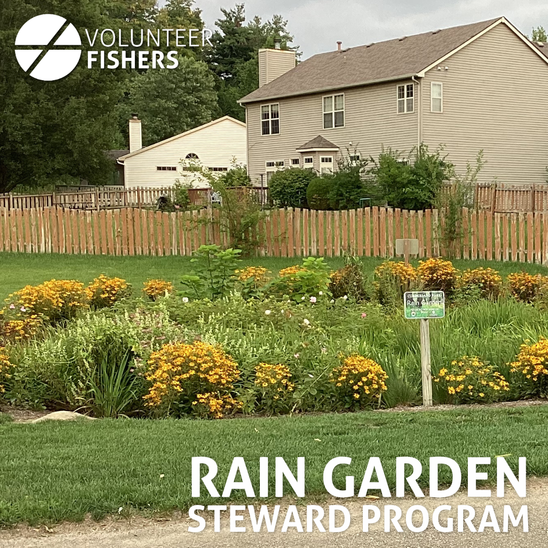 a rain garden in a neighborhood