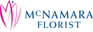 mcnamara logo